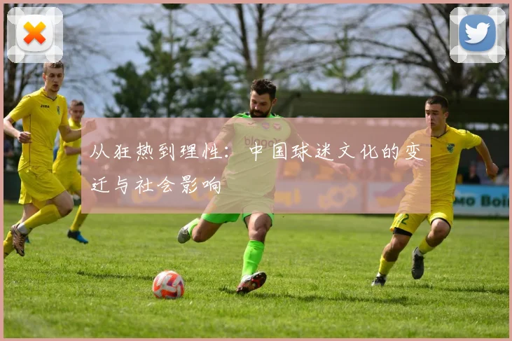 从狂热到理性:中国球迷文化的变迁与社会影响